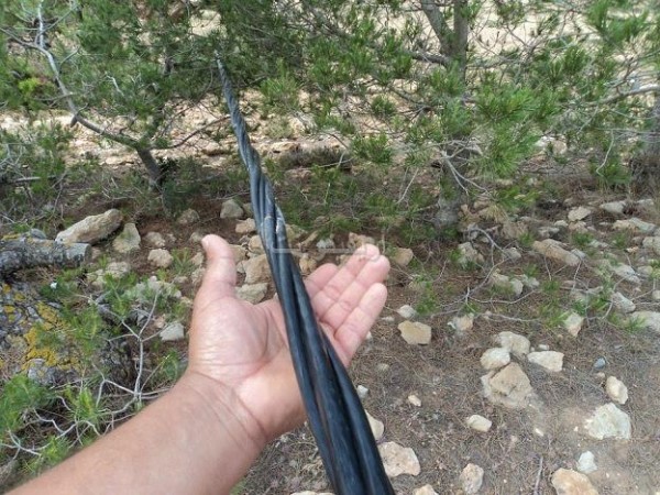 bnichiker_0003