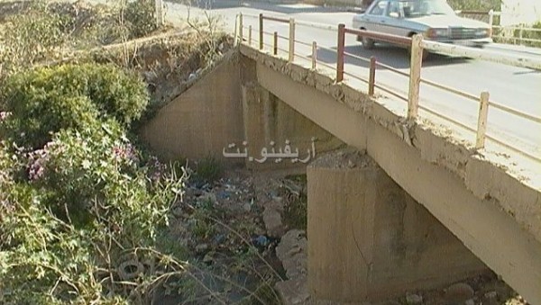 farxana_0008