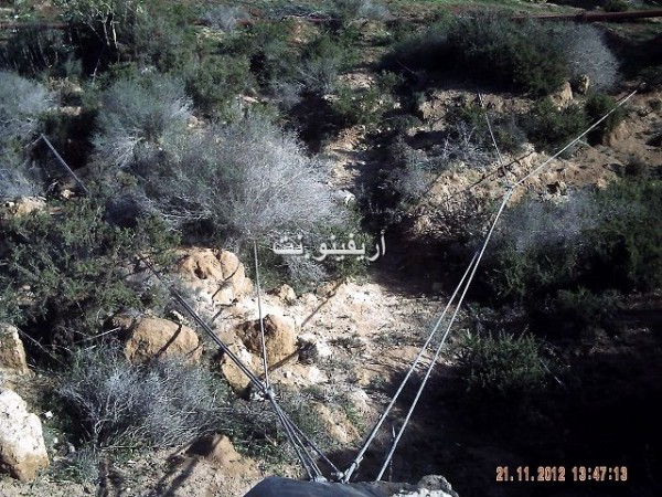 hidoun_0010