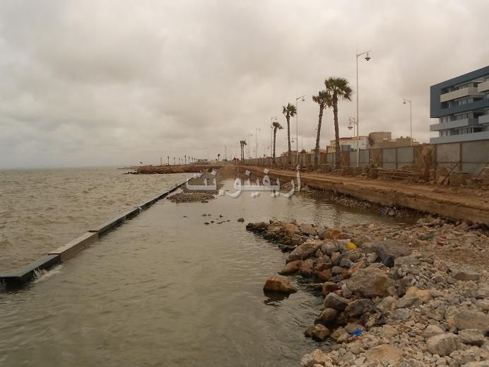 marchica_0009