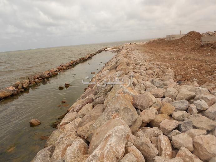 marchica_0021
