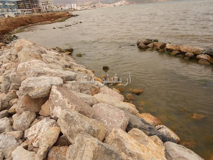 marchica_0022