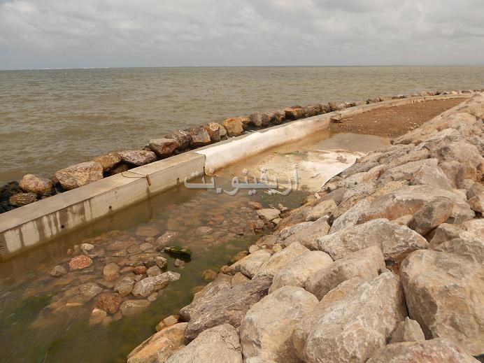marchica_0023