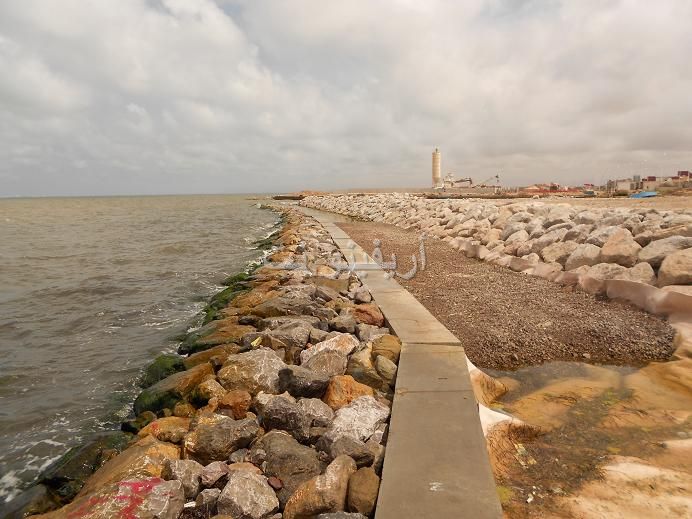 marchica_0039