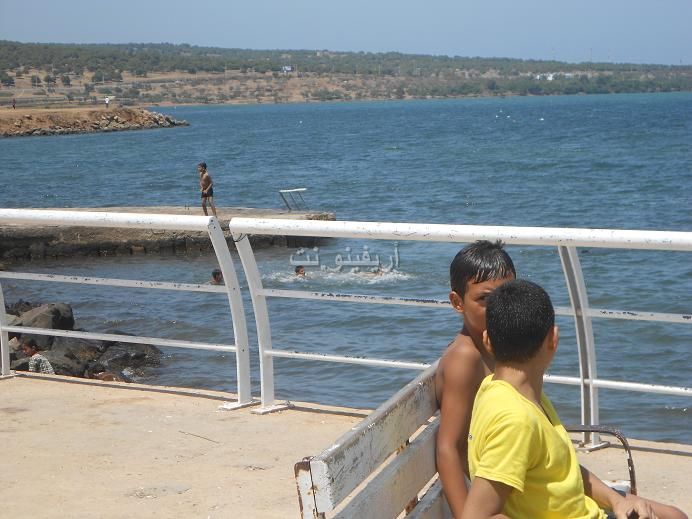 sibaha_0011