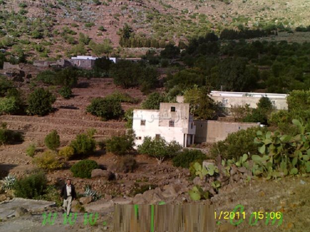 newname_0013