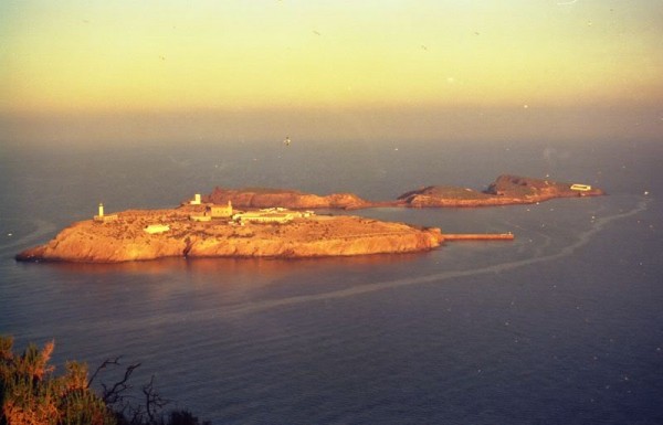 tchafarinas