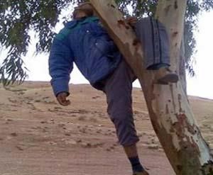 صورة تعبرية