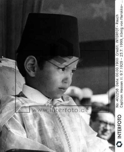 7954191_m
