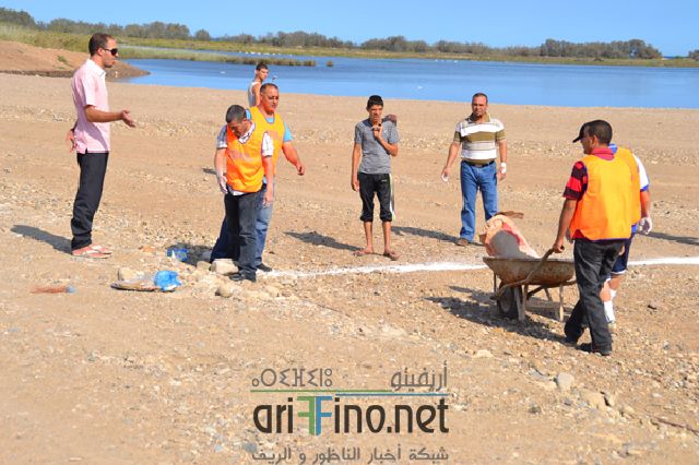 bninsar_0052