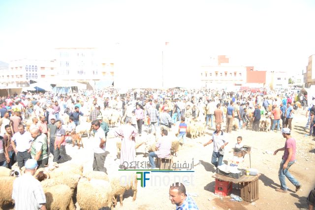 joutia_0013