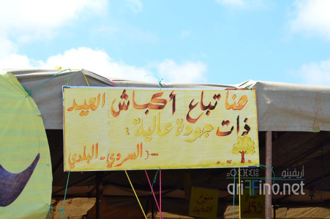 marjan_0005