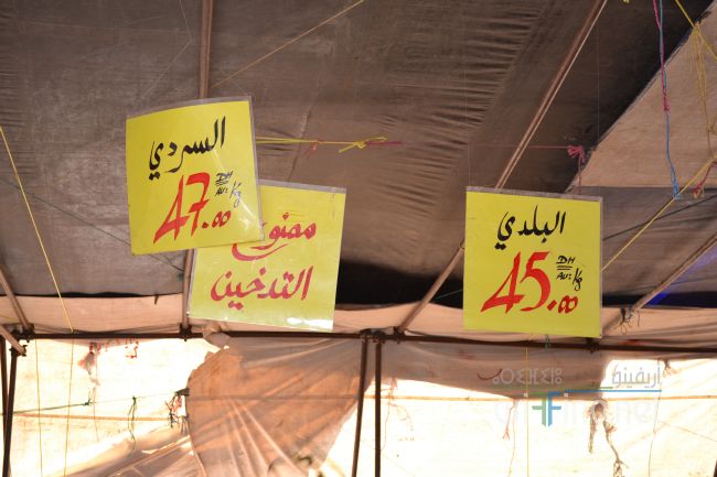 marjan_0008