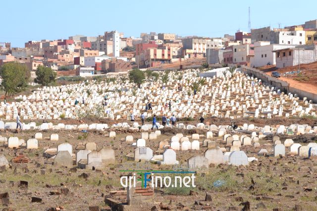 nador0016