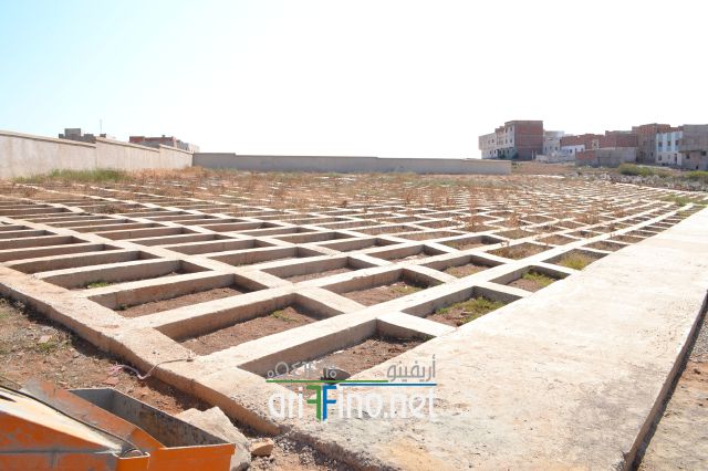 nador0024