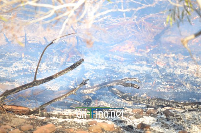 nador0034