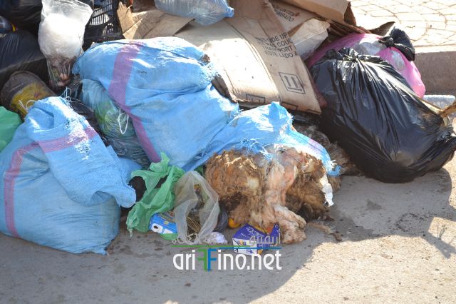 nador0039