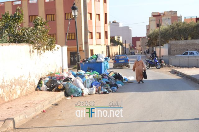 nador0050