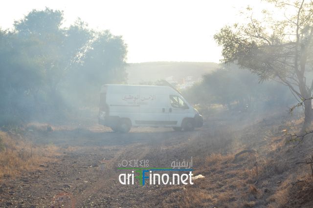 nador0052