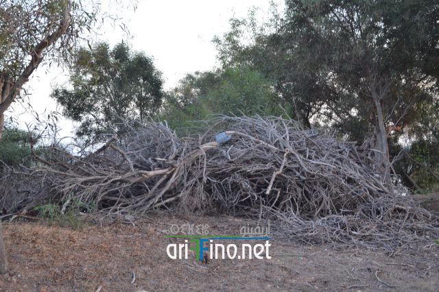 nador0081