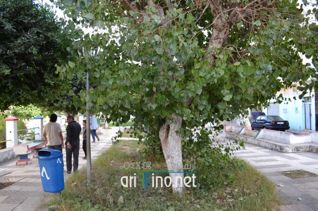 nador0193