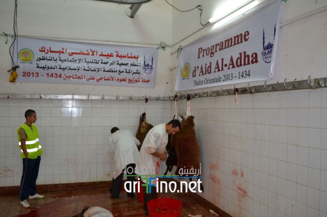 nador_0067