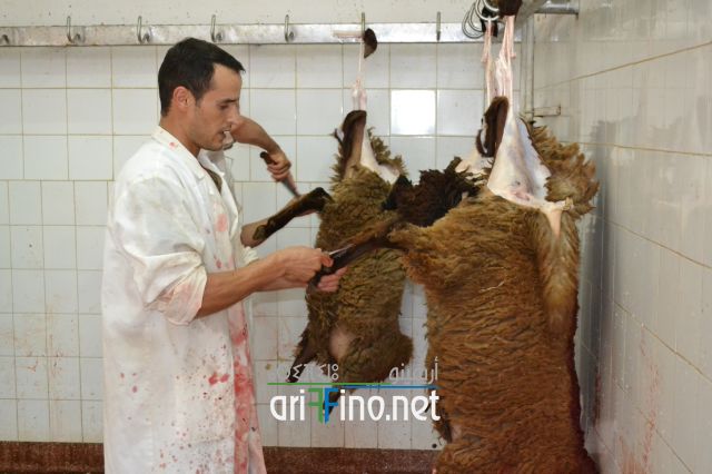 nador_0069