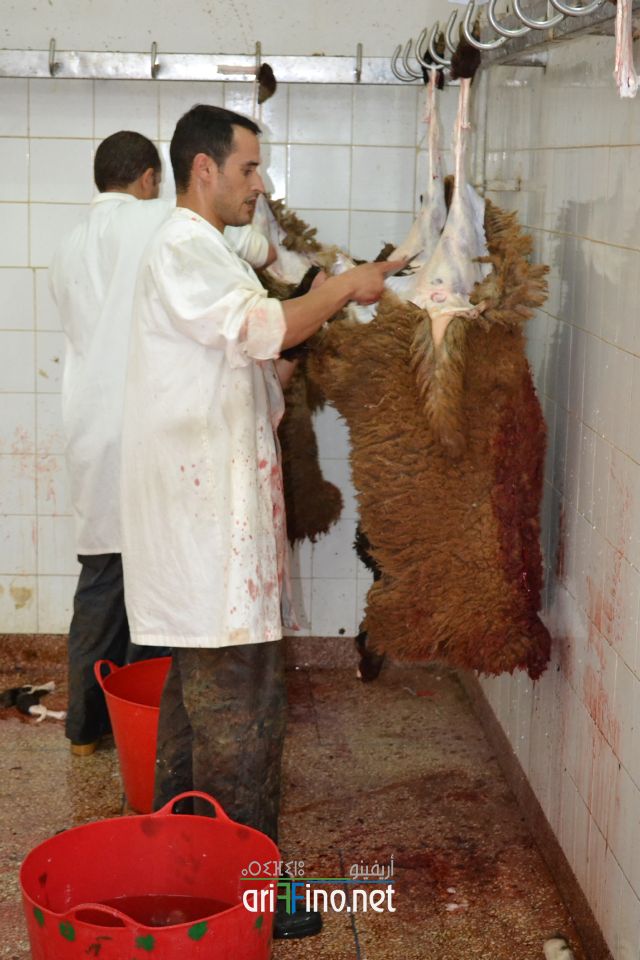 nador_0070