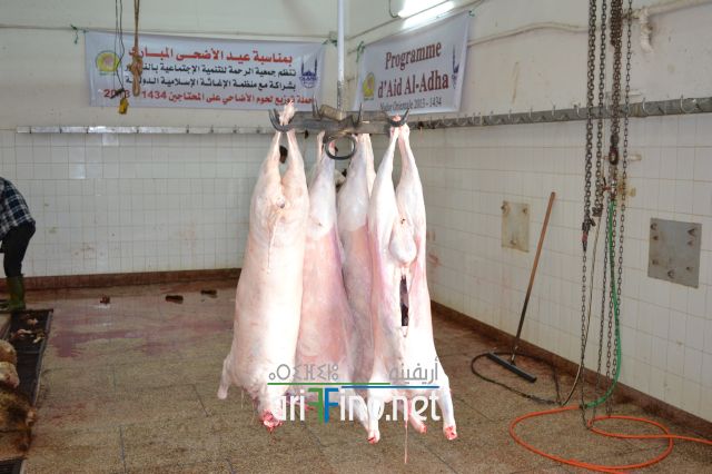 nador_0071