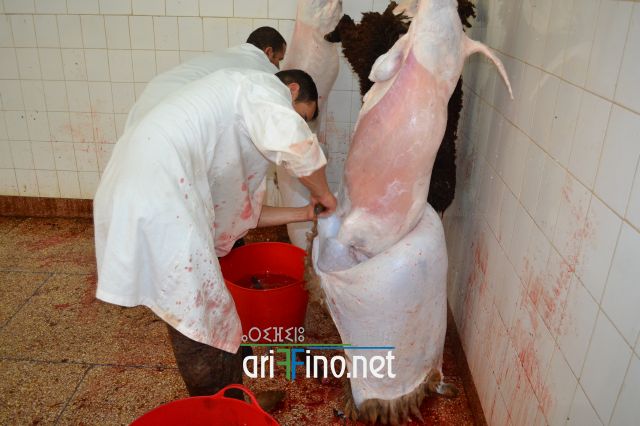 nador_0073