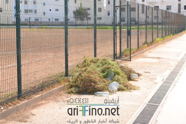 nador_0074