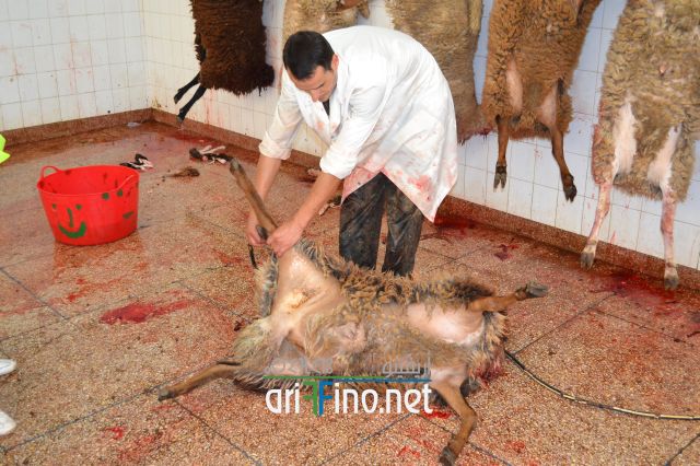 nador_0074