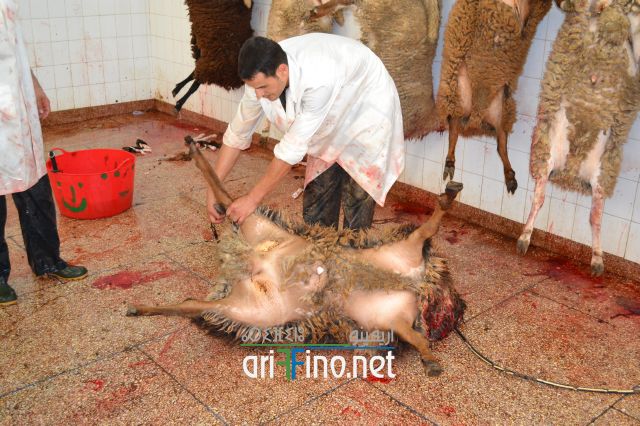 nador_0075