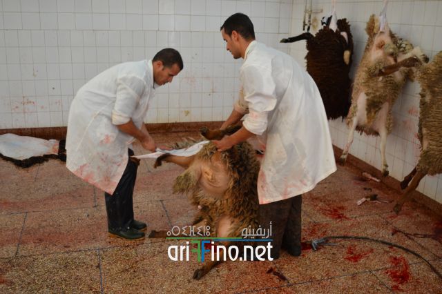 nador_0076