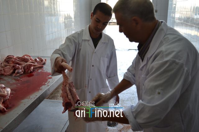 nador_0081
