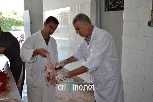 nador_0083