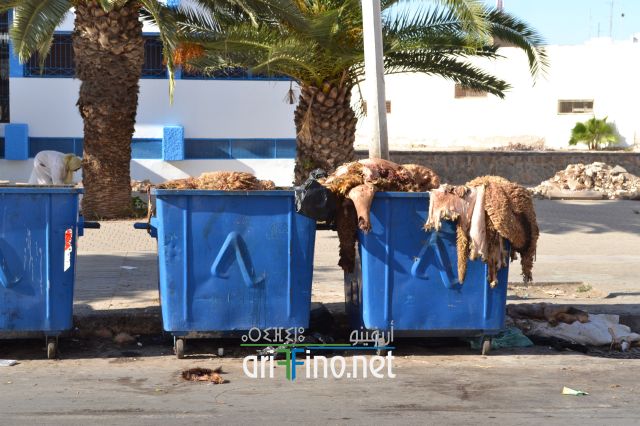 nifayat_0001