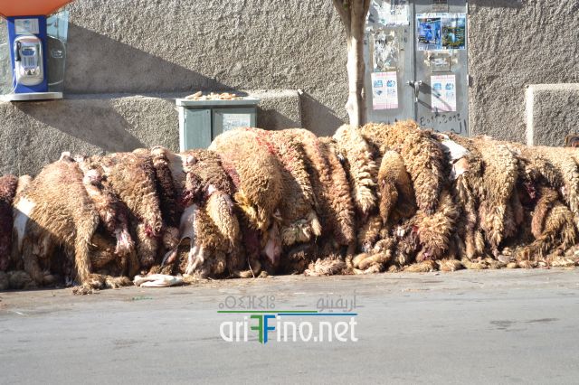 nifayat_0005
