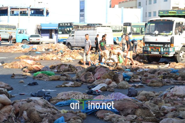 nifayat_0017