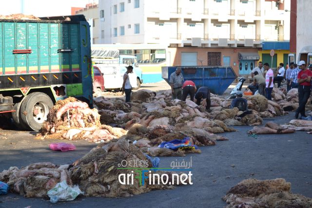 nifayat_0018