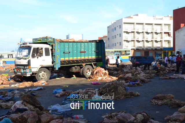 nifayat_0019