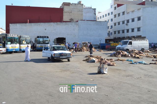 nifayat_0026