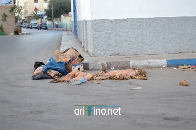 nifayat_0030