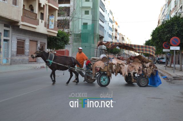 nifayat_0034