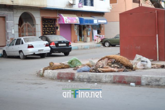 nifayat_0035