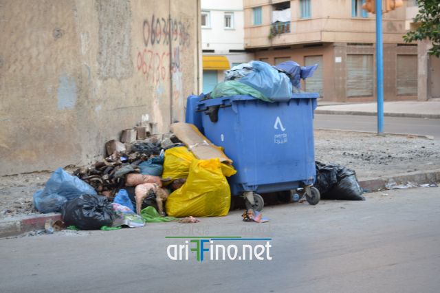 nifayat_0036