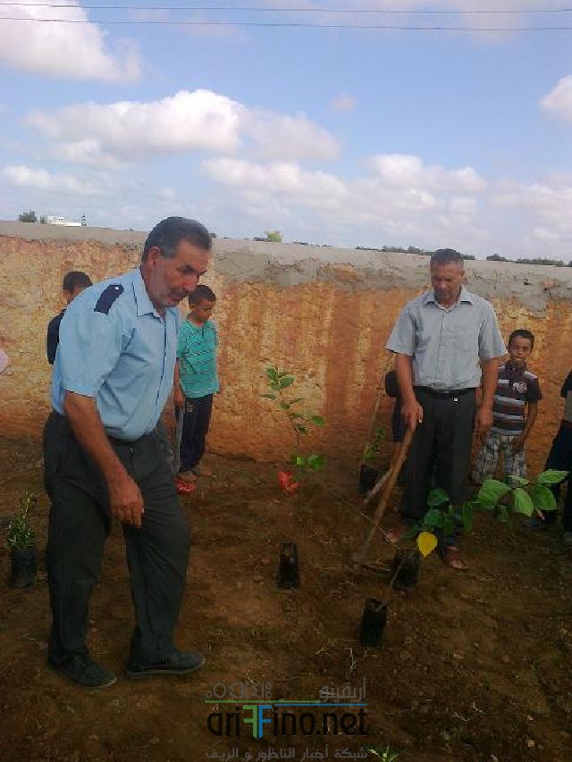 qarya_0001