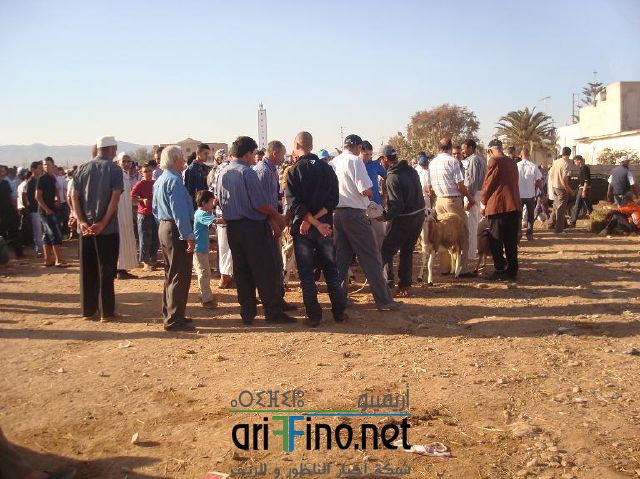 qarya_0002