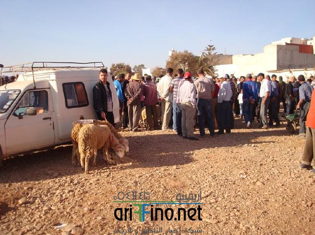 qarya_0003