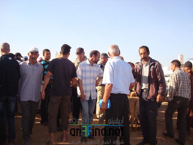 qarya_0004